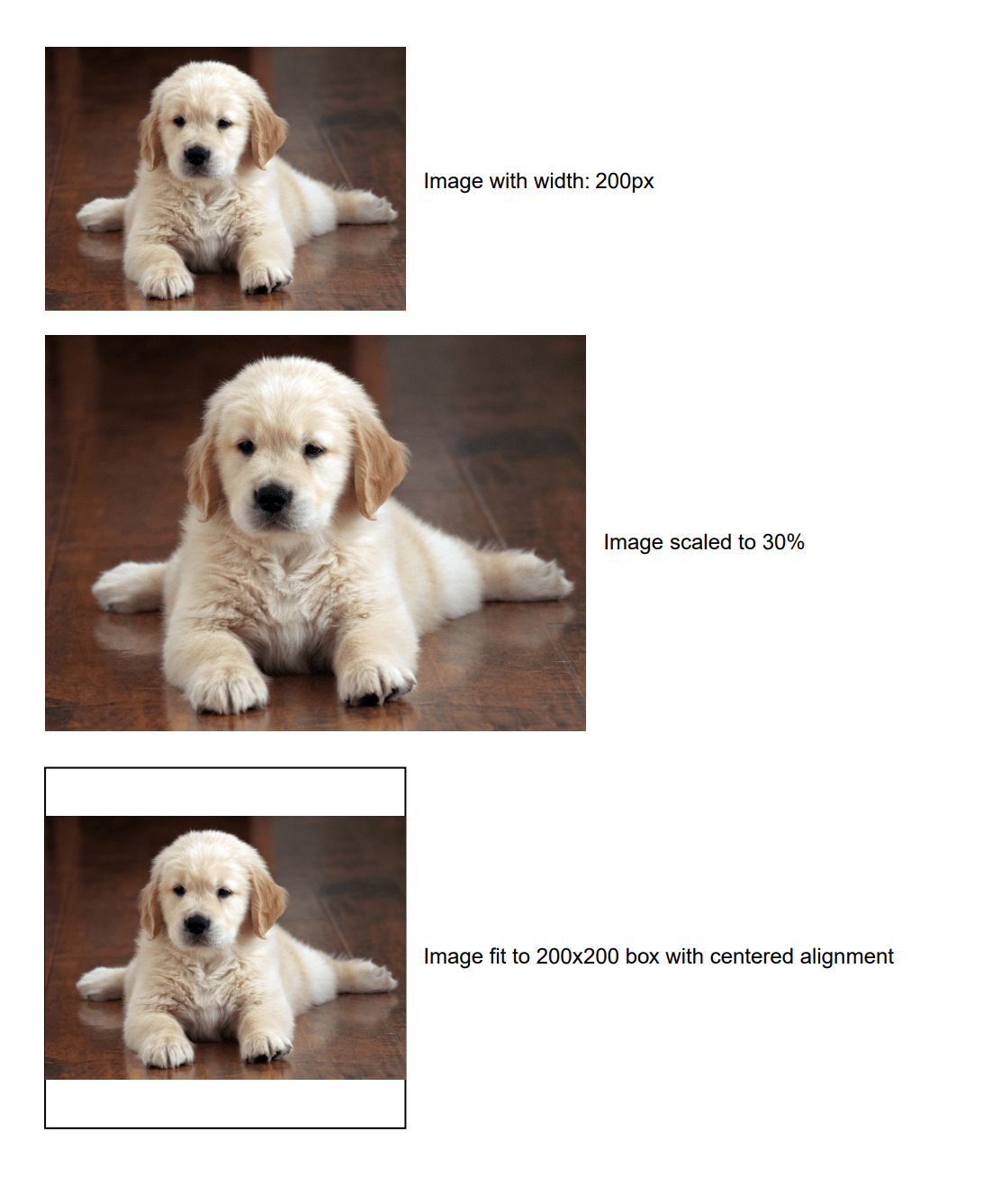 Working with Images