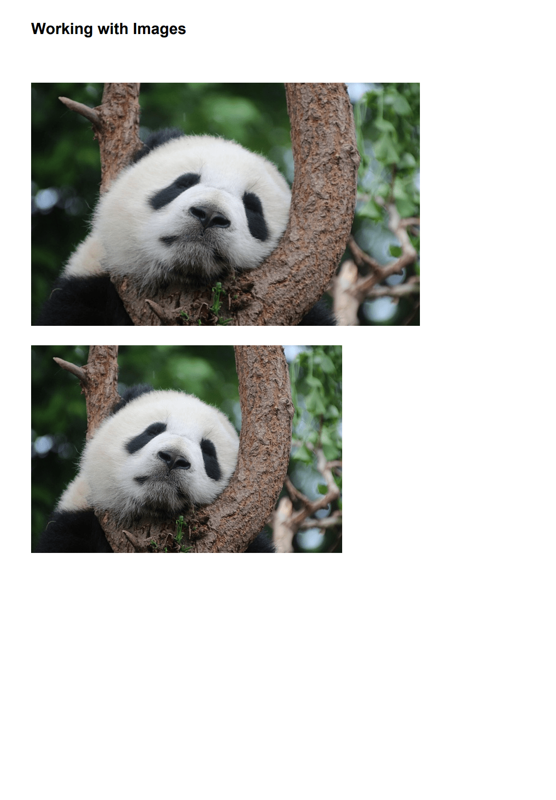 Images with PDFsharp in C#/.NET