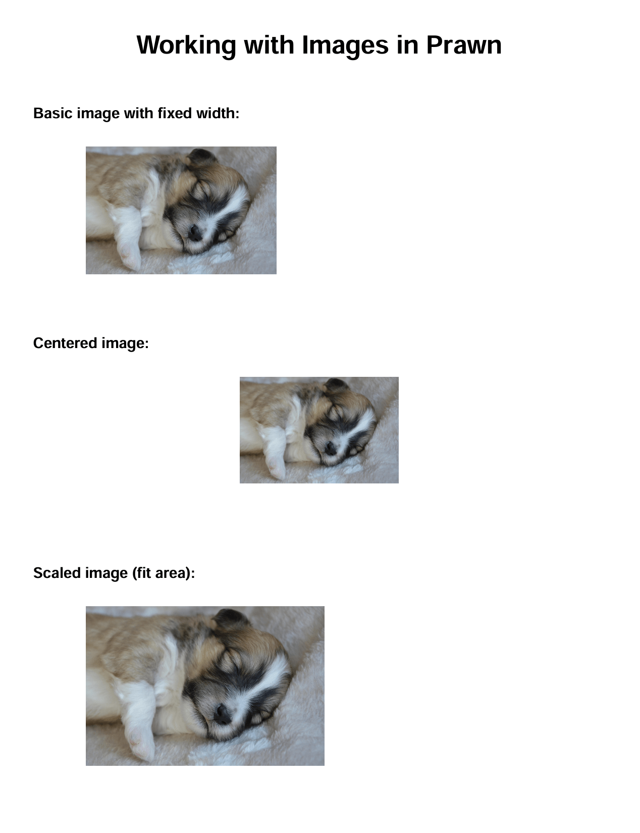PDF showing image positioning and sizing examples with Prawn in Ruby on Rails