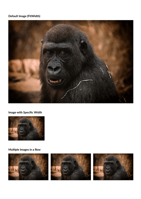 PDF with images using QuestPDF in C#/.NET